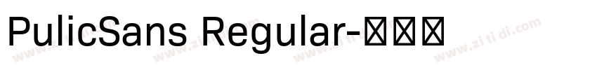 PulicSans Regular字体转换